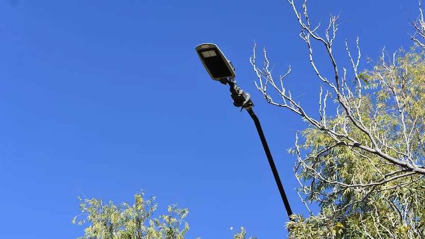 Renovación del cableado eléctrico busca evitar apagones en Parral
