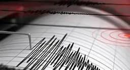 Sismo leve en Madera sin daños reportados
