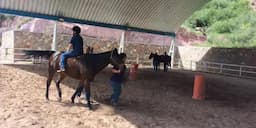 Equinoterapia impulsa desarrollo infantil en Chihuahua