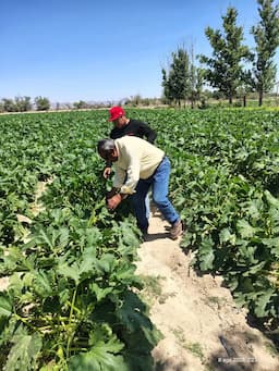 Entrega Ciudad Juárez soluciones nutritivas a agricultores de la región