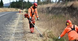 Despeja Parral maleza para mejorar seguridad vial