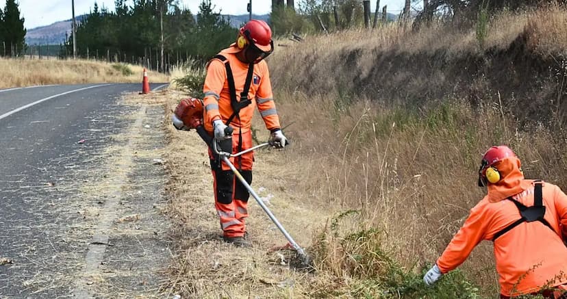 Despeja Parral maleza para mejorar seguridad vial