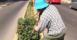 Delicias transforma camellones con apoyo ciudadano