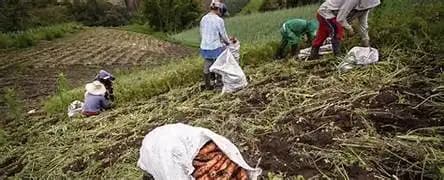 Impulsan autoempleo rural en Chihuahua