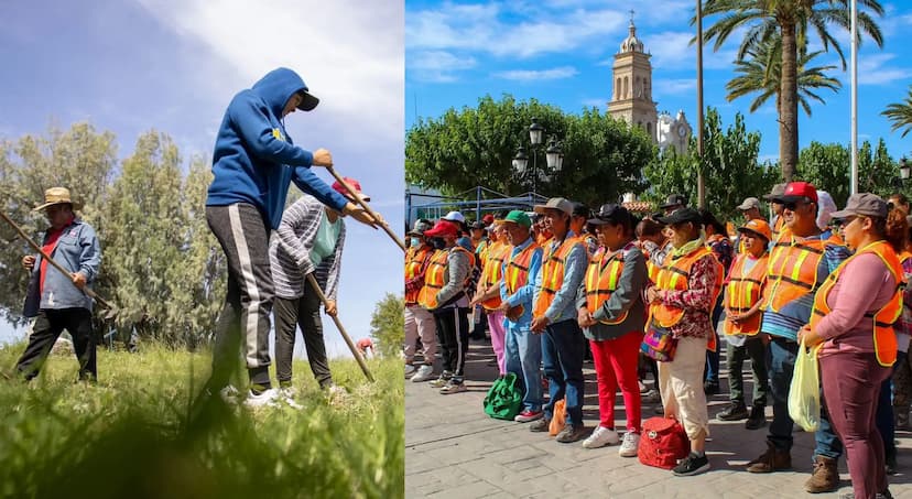 Chihuahua impulsa empleo temporal en 38 municipios