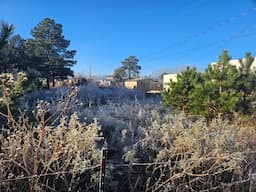 Frío extremo y heladas azotan Chihuahua