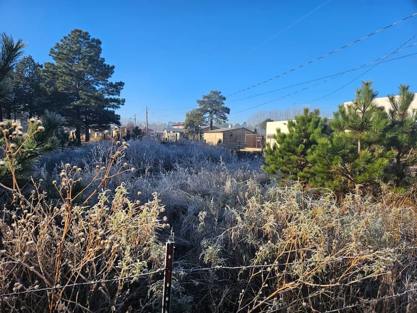 Frío extremo y heladas azotan Chihuahua