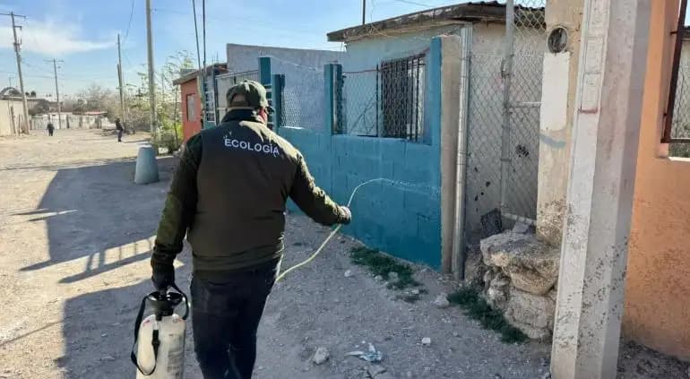 Inicia fumigación en Juárez contra garrapatas