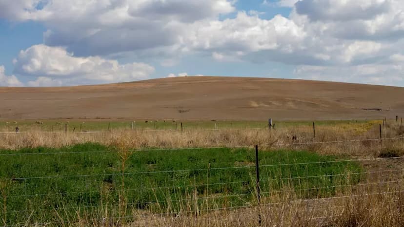 CONAGUA supervisa obras contra sequía en Chihuahua