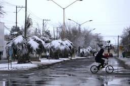 Frente frío provoca heladas extremas en Chihuahua
