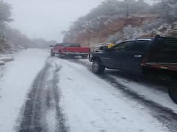 Frente frío impacta Chihuahua con heladas severas