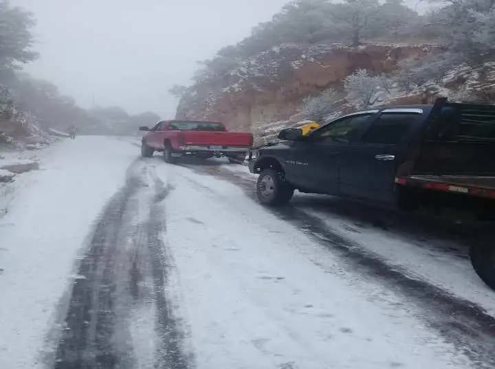 Frente frío impacta Chihuahua con heladas severas