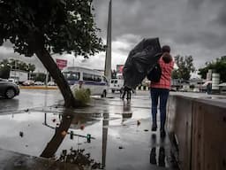 Frente frío impacta Chihuahua con lluvias y vientos