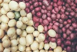 Ojinaga distribuirá papa para mejorar nutrición local