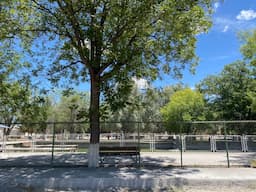 Camargo reubica peces para mejorar parque infantil