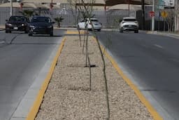 Entrega Presidente obras que benefician a vecinos de Las Aldabas