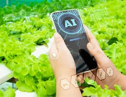 Implementan IA para proteger cultivos en Samalayuca y Valle