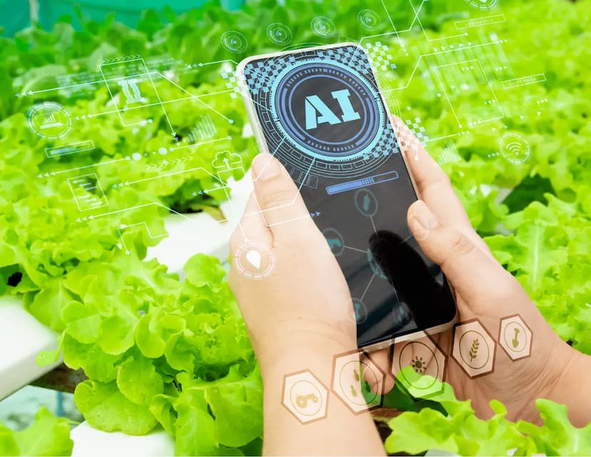 Implementan IA para proteger cultivos en Samalayuca y Valle