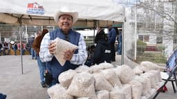 Exigen ampliar acopio y precio justo del frijol en Chihuahua