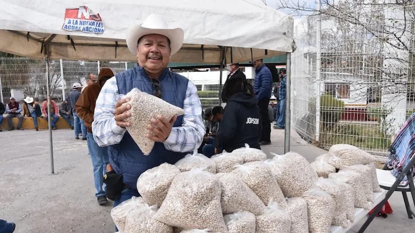 Exigen ampliar acopio y precio justo del frijol en Chihuahua
