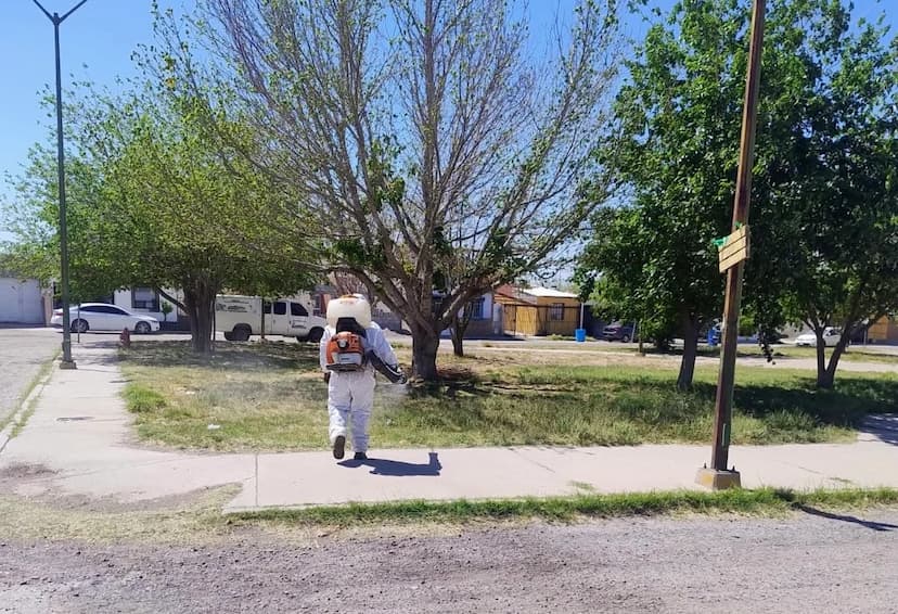 Controlan plaga en Plaza El Pedregal de Delicias