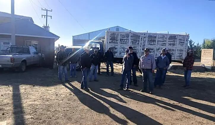 Cierran bodegas en Chihuahua por acopio de frijol