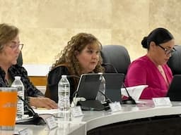 Tras tragedia de Eitan Daniel, proponen campaña permanente contra el maltrato infantil en Juárez