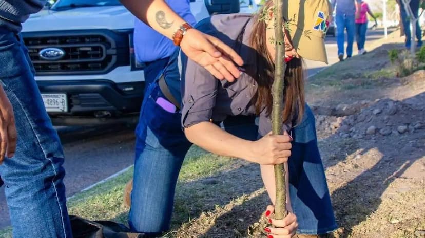 Reforestan bulevar en Meoqui con 90 árboles resistentes