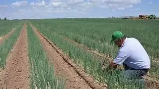 Abren apoyos para el campo en Camargo hasta julio