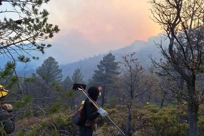 Controlan incendios forestales en tres municipios de Chihuahua