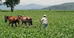 Aceleran trámites agrícolas en Chihuahua con nuevos módulos