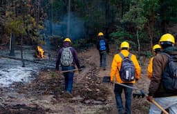 Disminuyen incendios forestales en Chihuahua