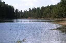 Recuperan agua en Laguna de Hormigas para Chihuahua