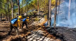 Combaten incendios forestales en Sierra de Chihuahua
