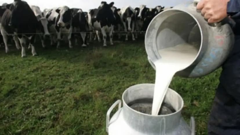 Crisis lechera afecta economía rural en Camargo