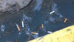 Alertan por colillas de cigarro en Chihuahua capital