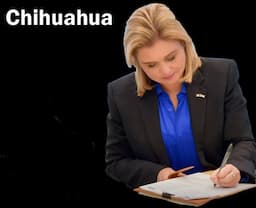 Lanzan licitación para refinanciar deuda estatal en Chihuahua