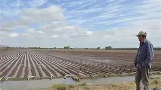Destinan 90 mdp a tecnificación agrícola en Chihuahua