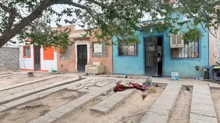 Obligan a terapia a agresor de perro en Juárez