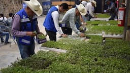 Entregan plántulas para huertos familiares en Parral