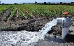 Investigan uso ilegal de agua por menonitas en Ascensión