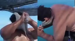 Pulpo se aferra al rostro de pescador y le impide respirar; video se vuelve viral