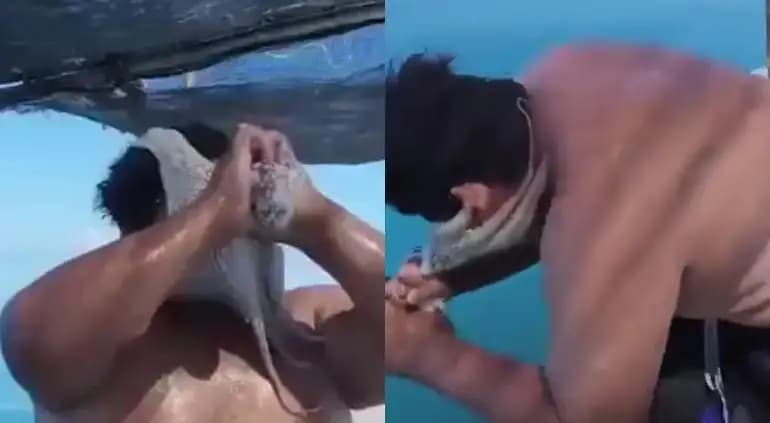 Pulpo se aferra al rostro de pescador y le impide respirar; video se vuelve viral
