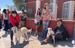 Ofrecen mil servicios gratuitos para mascotas en Juárez