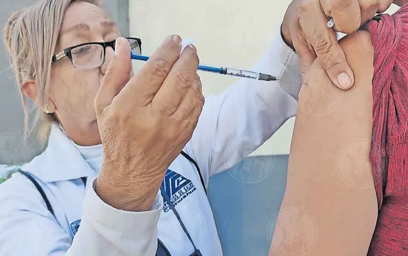 Insta Chihuahua a vacunarse contra influenza A H3N2