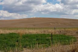 Sequía extrema afecta municipios en Chihuahua