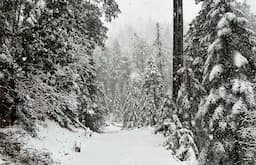 Cerro Mohinora recibe primera nevada del año