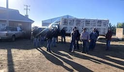 Cierran bodegas en Chihuahua por acopio de frijol