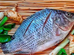 Alertan sobre precios de tilapia durante Cuaresma en Chihuahua