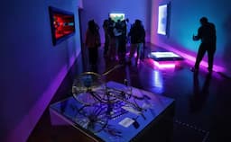 Exponen arte chicano en Bellas Artes